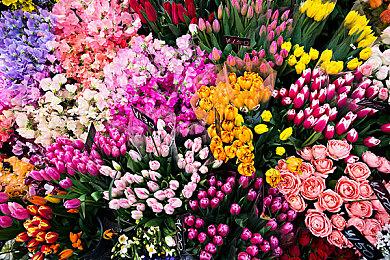 《全面战争：战锤2》新领主包7月14日上线 牛头战蜥蜴